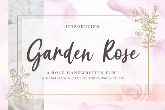 Garden Rose: A Designer’s Honest Review for Real Projects