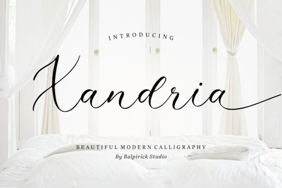 How Xandria Gave My Small Business a More Polished Look