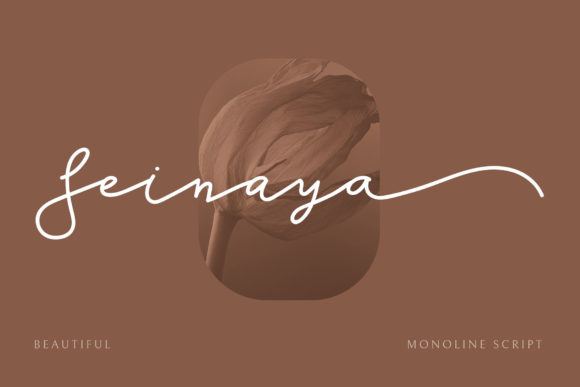 Seinaya: An Elegant Script Font for Handmade Products and Printables